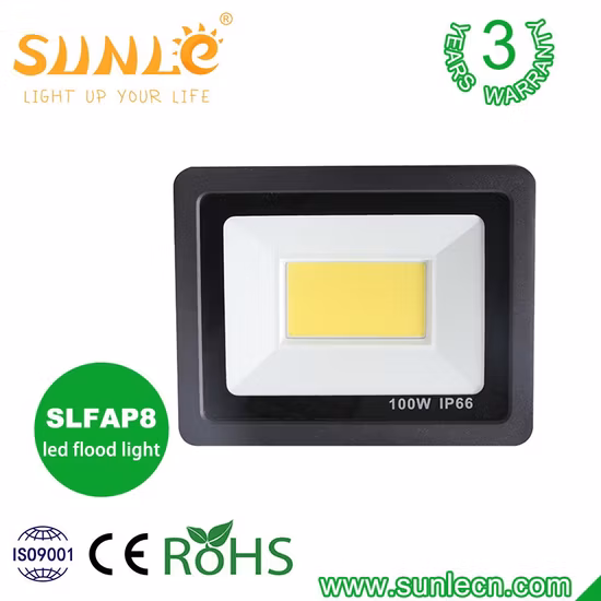기본 사용자 정의 LED 야외 조명 방수 투광 조명 10W 20W 30W 50W 80W 100W 150W 200W 300W 400W COB SMD LED 투광 조명